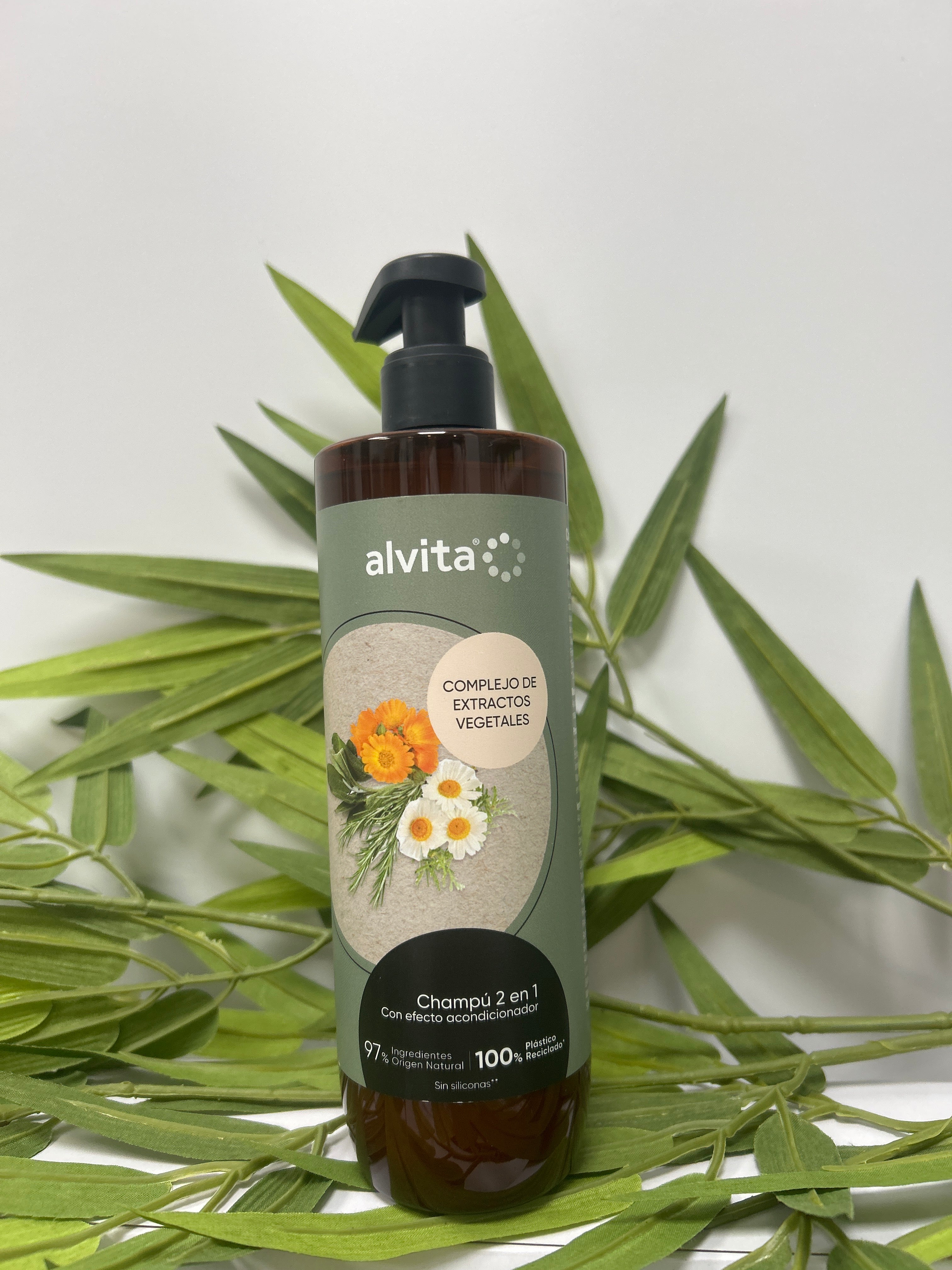 ALVITA CHAMPU 2 EN 1 EXTRACTOS VEGETALES 400 ML